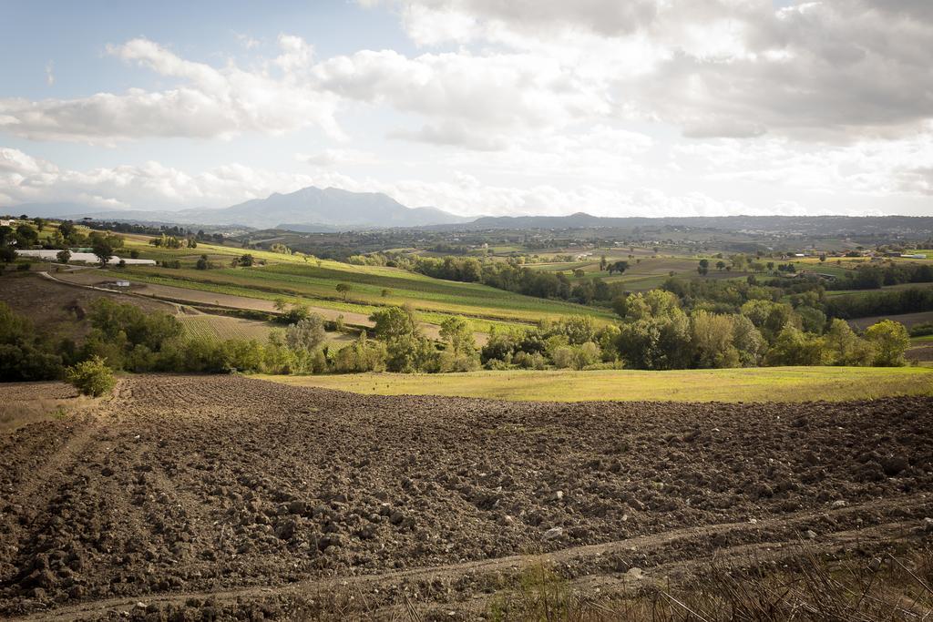 Agriturismo Villa Luisa Apice エクステリア 写真